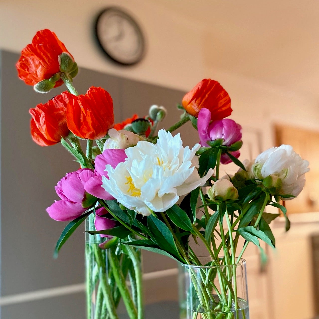 Peonies deals and poppies